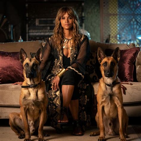 dog breed john wick 3|Halle Berry Actually Trained The Dogs In John Wick 3